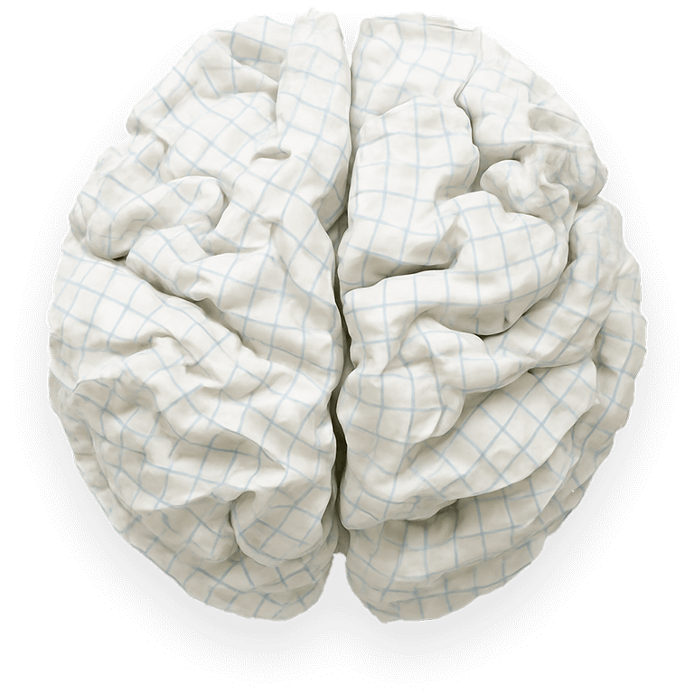 brain